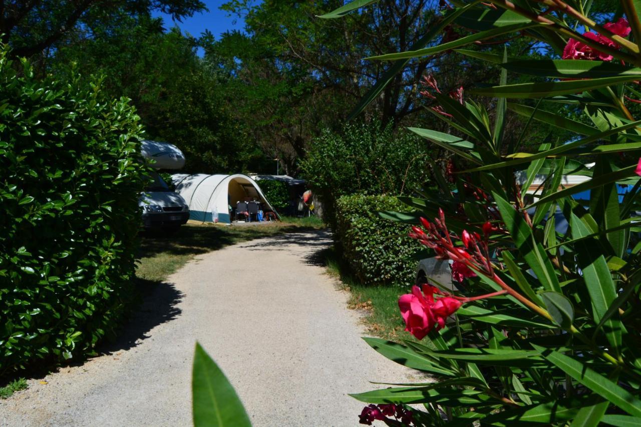 International Camping Ardeche Salavas Exteriör bild